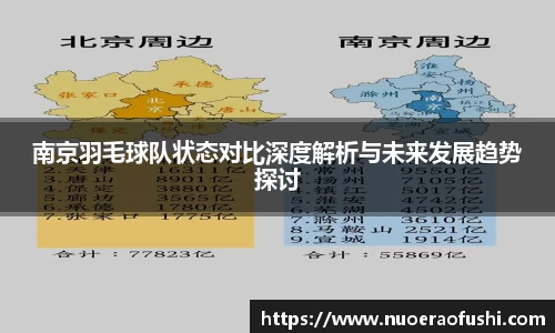 南京羽毛球队状态对比深度解析与未来发展趋势探讨